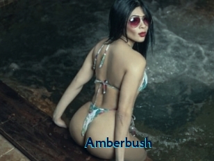 Amberbush