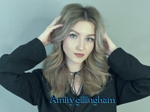 Amitygillingham