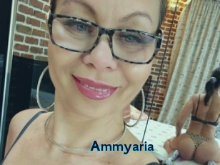 Ammyaria
