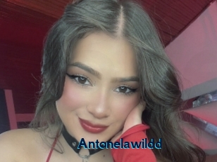 Antonelawildd