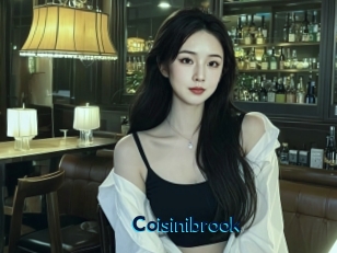 Coisinibrook