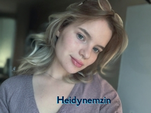 Heidynemzin