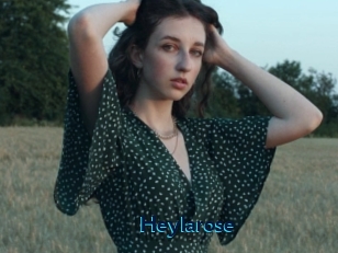 Heylarose