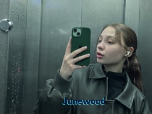 junewood Voyeur Beurette