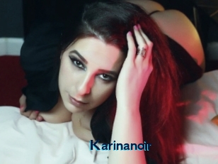 Karinanoir
