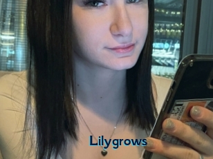 Lilygrows