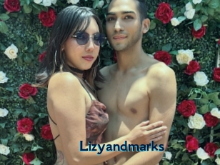 Lizyandmarks