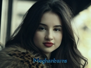 Meghanbarns