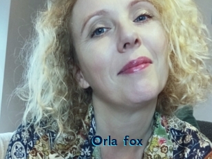 Orla_fox
