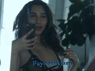 Paynadiavixen