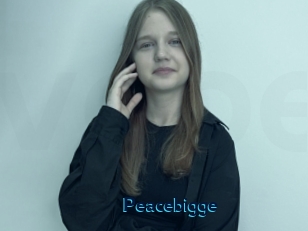 Peacebigge
