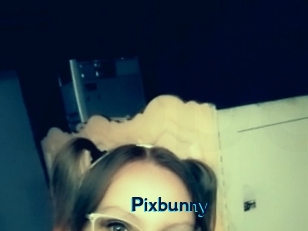 Pixbunny