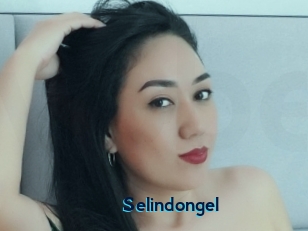 Selindongel