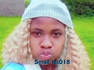 Small_tits018