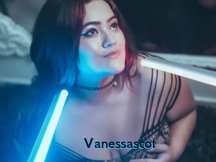 vanessascot Voyeur Beurette