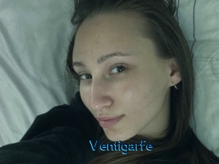 Ventigarfe