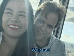 Wanamu